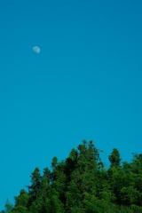 F8E2A7A7-4AA2-41E1-91AE-A20CE2D03117/L0/001