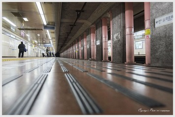DSCF4855.jpg