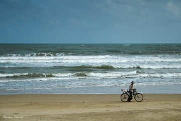 _DSF0080-1.jpg