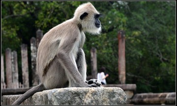 DSC_6317-1-1.jpg