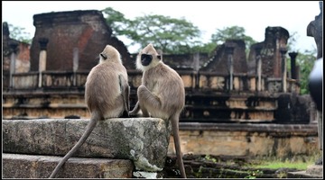 DSC_6300-1-1.jpg
