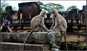 DSC_6310-1-1.jpg