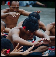 DSC_4858_
