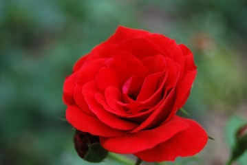 AB87218D-A952-4F64-8D32-CB93DF21E74A/L0/001
