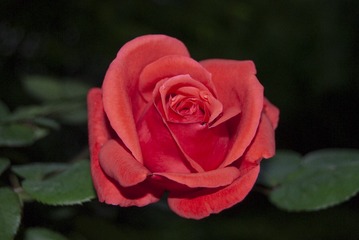 637EEAF0-793C-4919-93B3-964083F2316C/L0/001