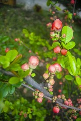 16936888-C130-4E77-BD76-B0A1BB60B1BC/L0/001