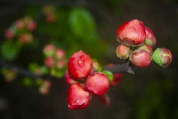 9BCC3042-D828-4E24-9E92-6FD7FC3419F7/L0/001