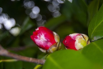 2A5D789F-5DEB-4D80-99EA-E053ADB067D8/L0/001
