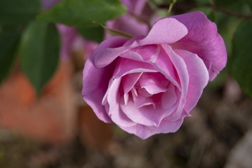 A6E757D5-32F7-477D-A47E-3EA9D95A0996/L0/001