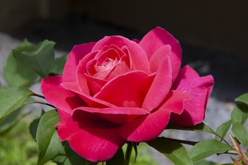87B80F98-F2A8-49B9-9A94-9D6FCBE9B1F3/L0/001