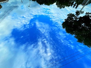 462E7881-92A8-4277-9846-AA986D0514EF/L0/001