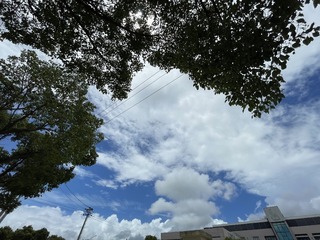DF745CD9-A16D-4762-8CA8-6CE7540AC50D/L0/001