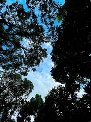 09DDCDCB-C420-4F2F-9EB8-691F955026A5/L0/001