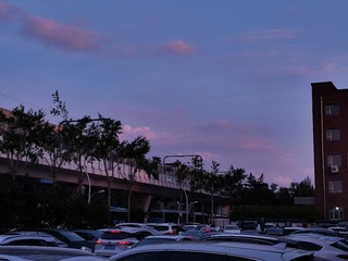 0A288F00-40D9-43DE-95A5-066E43448D56/L0/001