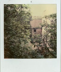 image38.jpg