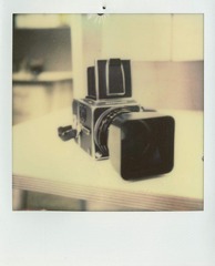 image43.jpg