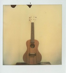 image46.jpg