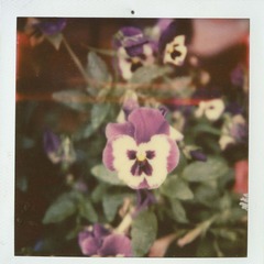 image42.jpg