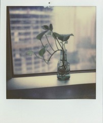 image50.jpg