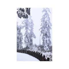 9B727005-4956-48F4-8398-03ED00C3B970/L0/001