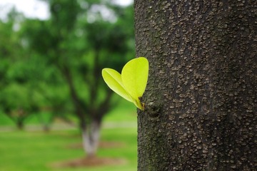 K__50126.JPG