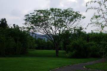 K__50136.JPG