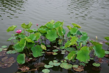 K__50830.JPG