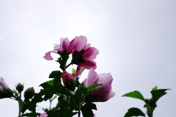 K__50848.JPG