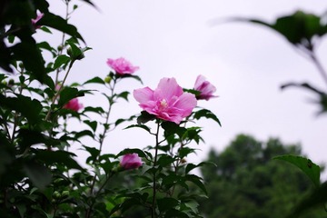 K__50849.JPG