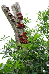 K__50870.JPG