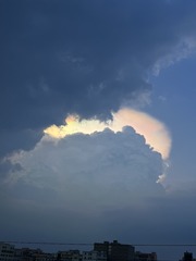 8826788B-57CB-48EB-96BD-1DEE305B8C12/L0/001