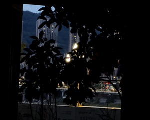 ADE8C3AB-7EC0-49A5-A33F-C1E2DF3B993F/L0/001