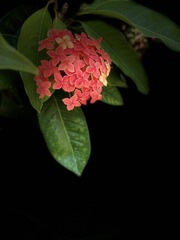D7481C67-EA2C-484E-8B58-27A5BDDF85A4/L0/001