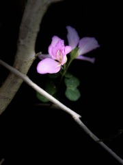 9B469D9C-153D-4768-A73D-FDAF98D84E30/L0/001