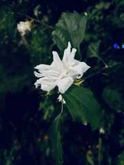 BE9776F0-96F3-44F5-B2E8-121679228C67/L0/001