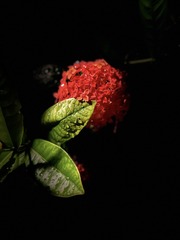 1F0D7962-460C-4A84-A020-0E52079B0031/L0/001