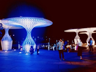 A41B7ED6-2C89-4944-B62C-4B4B67B942FC/L0/001