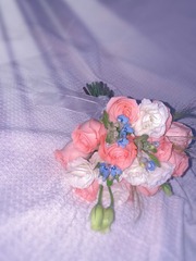 C570D2BB-9443-44D5-9C57-A8464F8A4644/L0/001