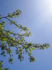 D4E6CBE3-FA84-463C-A3AB-8F019C3BF22F/L0/001