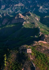 中国脊梁