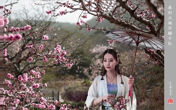 春归