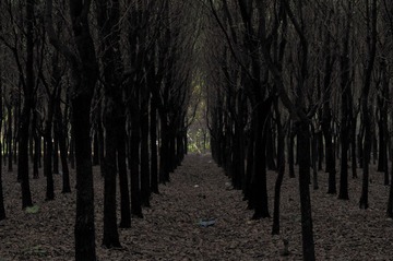 _IGP4337.jpg