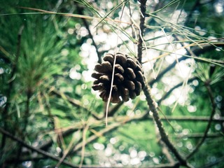 DSCF6039-1.jpg