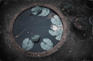 DSC_9401-编辑.jpg