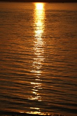 F0F4D648-D791-4D7C-9DA9-3721535B02AF/L0/001