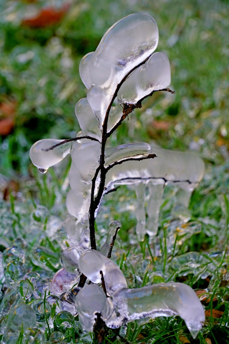 冰碴- etl_瑶 - 图虫网 - 优质摄影师交流社区