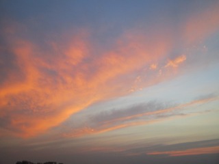 6264B70C-BD8D-4B19-A19F-53CD44E386A4/L0/001