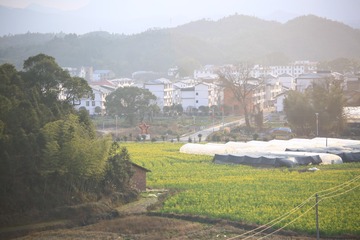 5153711