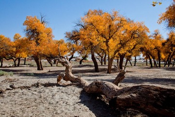 IMG_1405.jpg