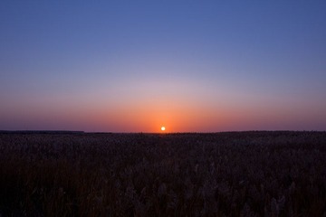 IMG_1302.jpg